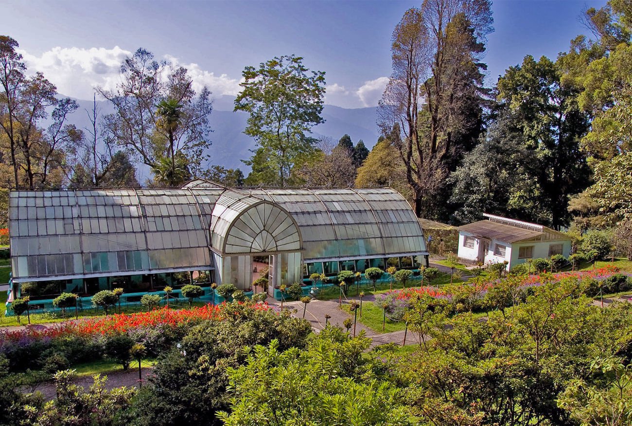 Lloyd Botanical Garden