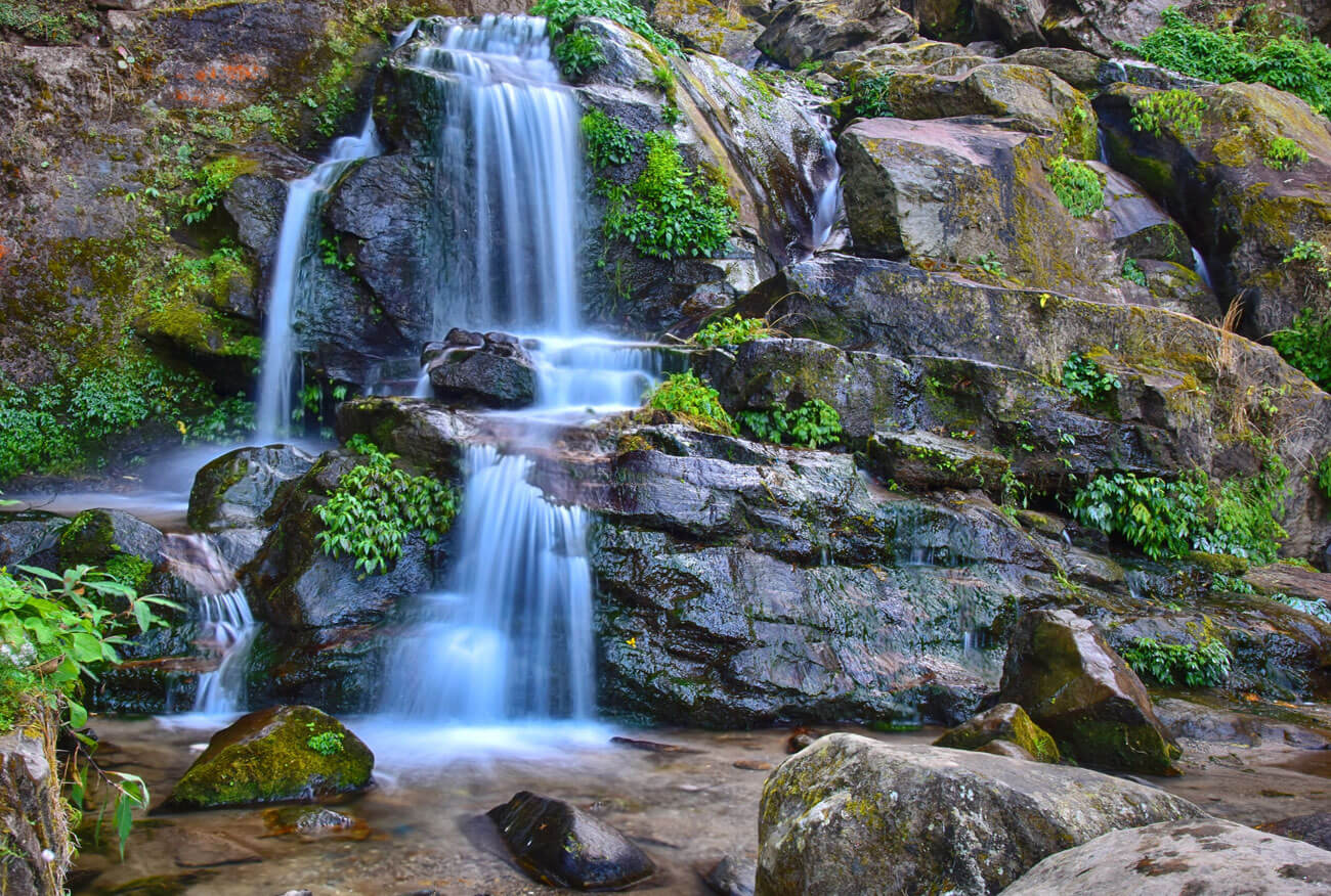 Rock-Garden Darjeeling