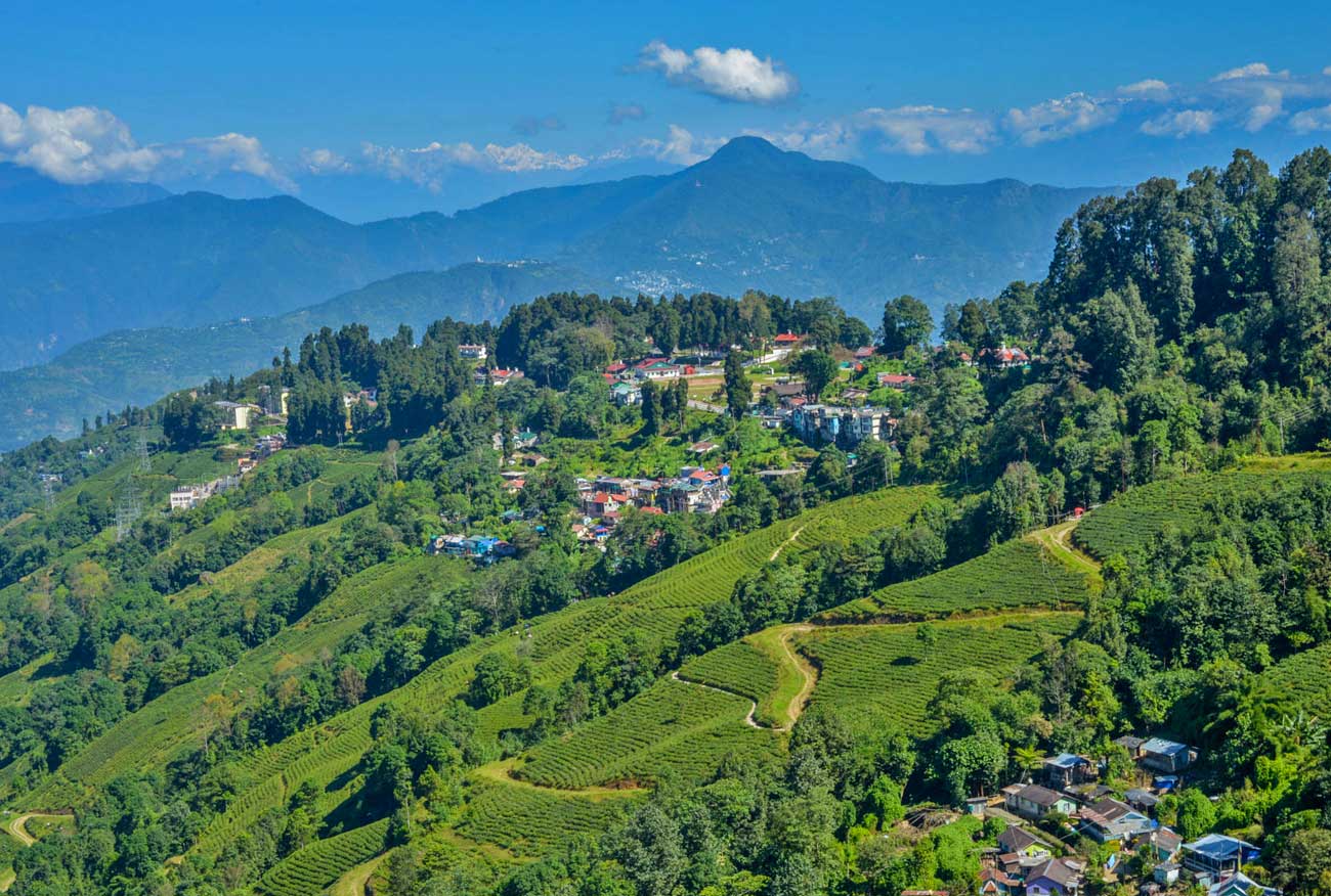 A panoramic view of Darjeeling's top attractions, including the Himalayas and tea plantations